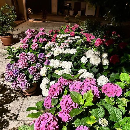 B&B Le Ortensie Castagnole エクステリア 写真