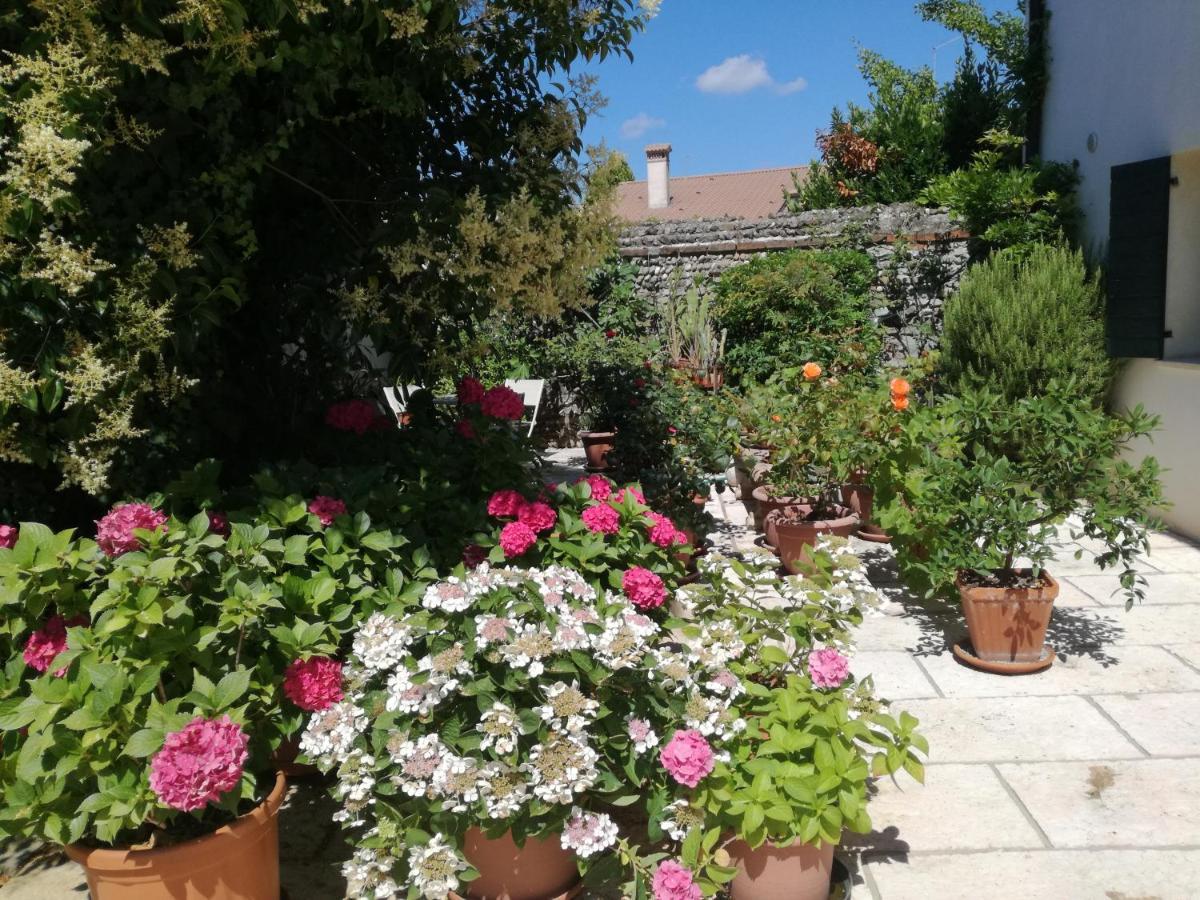 B&B Le Ortensie Castagnole エクステリア 写真